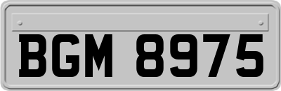 BGM8975