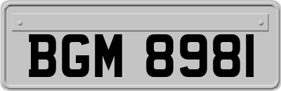 BGM8981