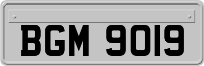BGM9019