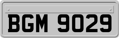 BGM9029