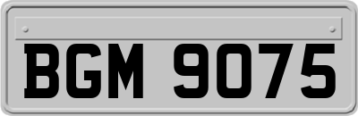 BGM9075