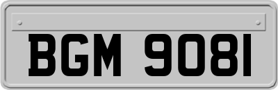 BGM9081
