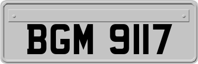 BGM9117