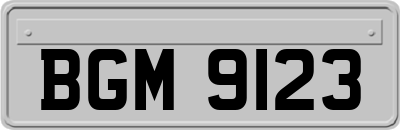 BGM9123