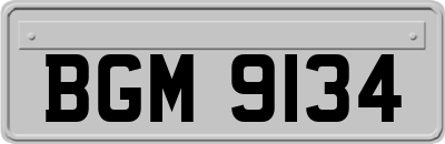 BGM9134