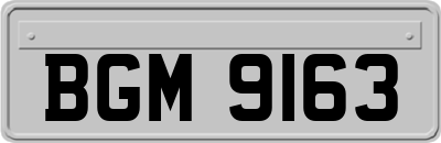 BGM9163