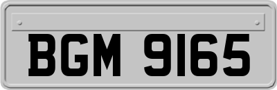 BGM9165