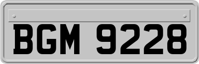 BGM9228