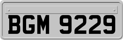 BGM9229