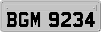 BGM9234