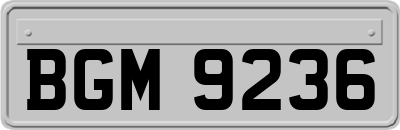 BGM9236