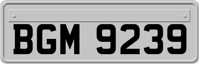 BGM9239
