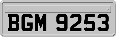 BGM9253
