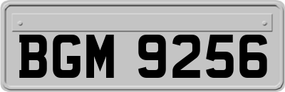 BGM9256
