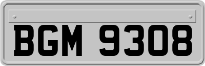 BGM9308