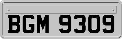 BGM9309