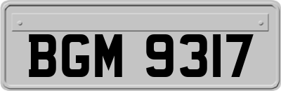 BGM9317