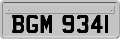 BGM9341