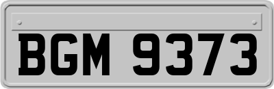 BGM9373