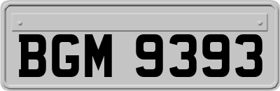 BGM9393