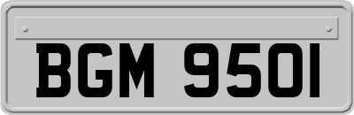BGM9501