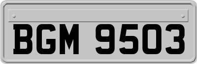 BGM9503