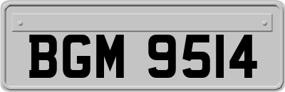 BGM9514