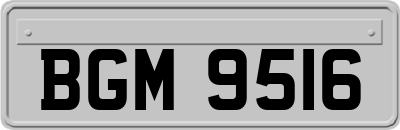 BGM9516