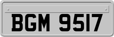 BGM9517