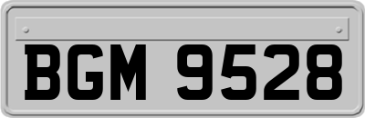 BGM9528