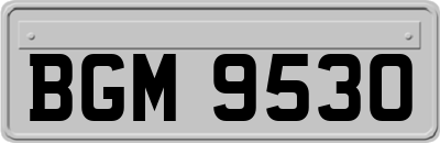 BGM9530