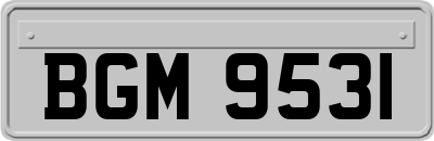 BGM9531