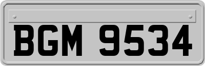 BGM9534