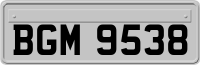BGM9538
