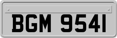BGM9541
