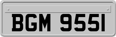BGM9551