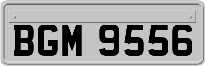 BGM9556