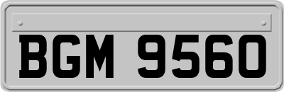 BGM9560