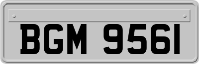 BGM9561