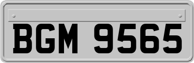 BGM9565