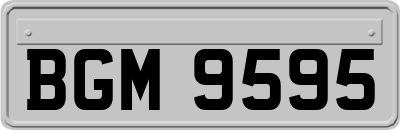 BGM9595