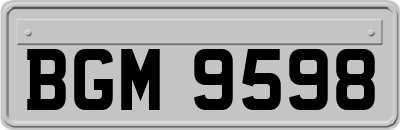 BGM9598