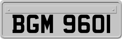BGM9601