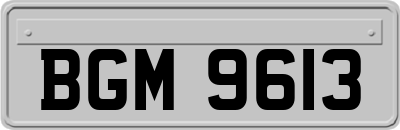 BGM9613
