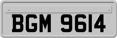 BGM9614