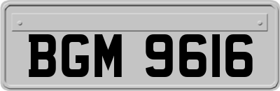 BGM9616