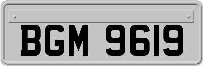 BGM9619