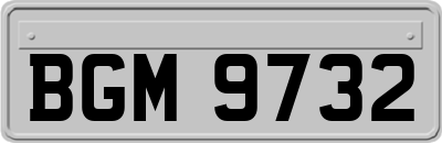 BGM9732