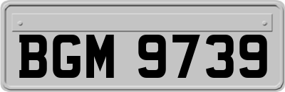 BGM9739
