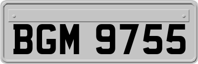 BGM9755